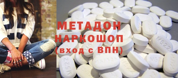 шишки Ельня