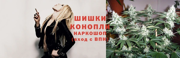 трава Заволжье