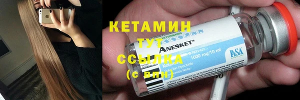 шишки Ельня