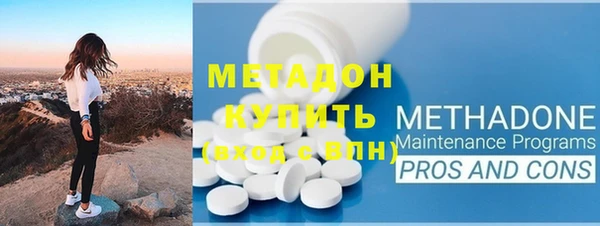 шишки Ельня