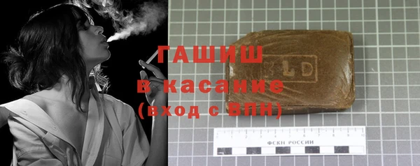 шишки Ельня