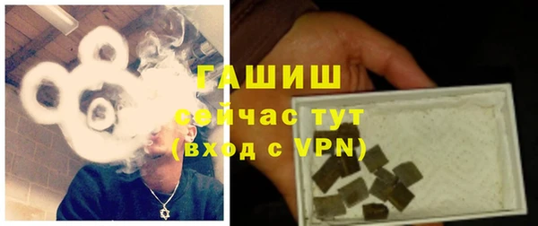шишки Ельня