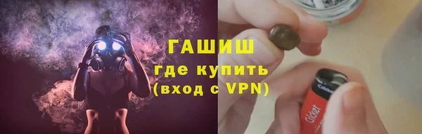 шишки Ельня
