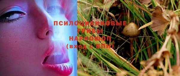 тгк Елабуга
