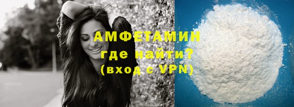 шишки Ельня